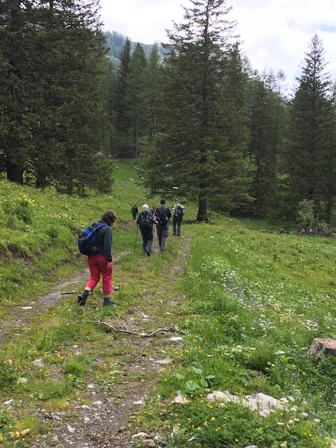 unterwegs beim Waldboda