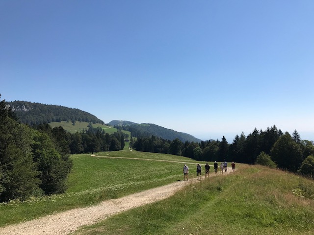 schöner Wanderweg Richtung Hasenmatt