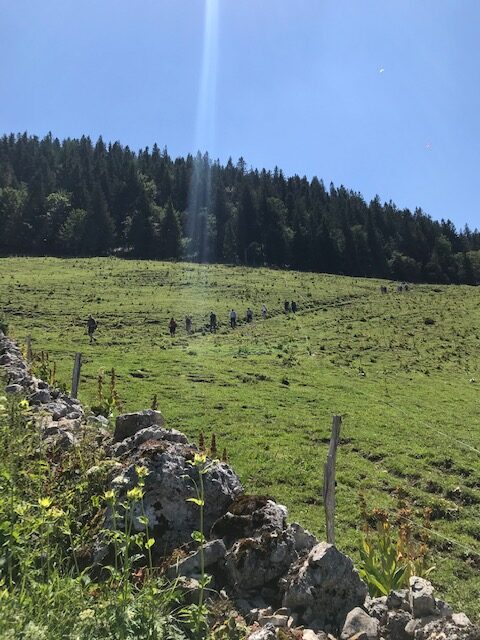 Wanderung Richtung Hasenmatt