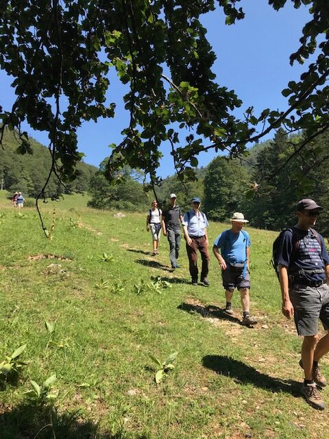 eine flotte Wandergruppe ist hier unterwegs.