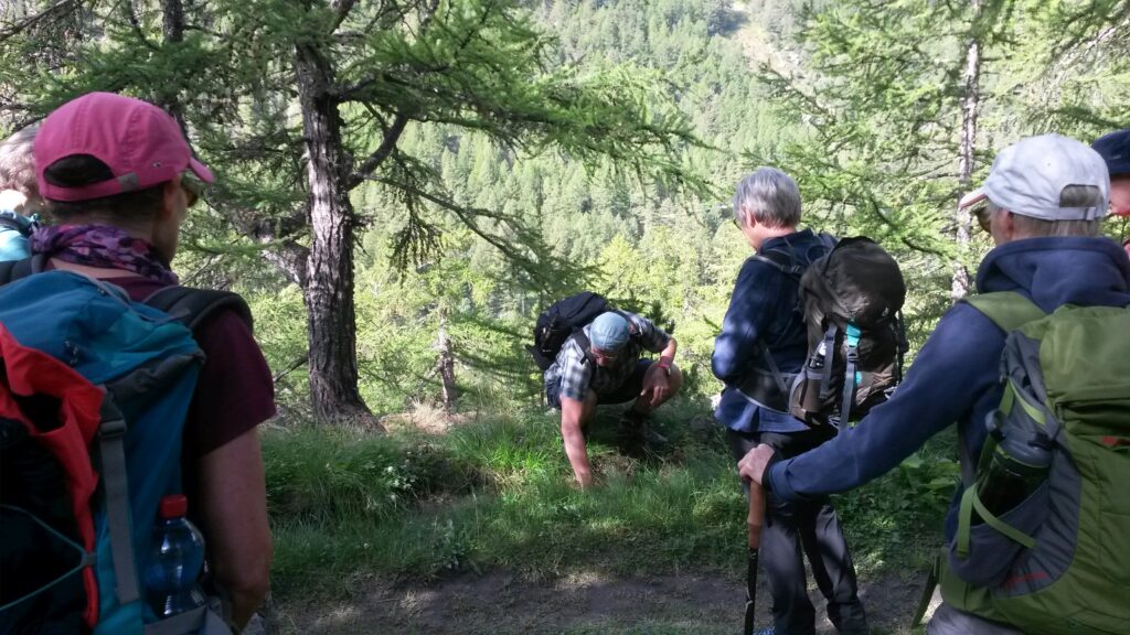 saftiges Grün entlang der Suonen