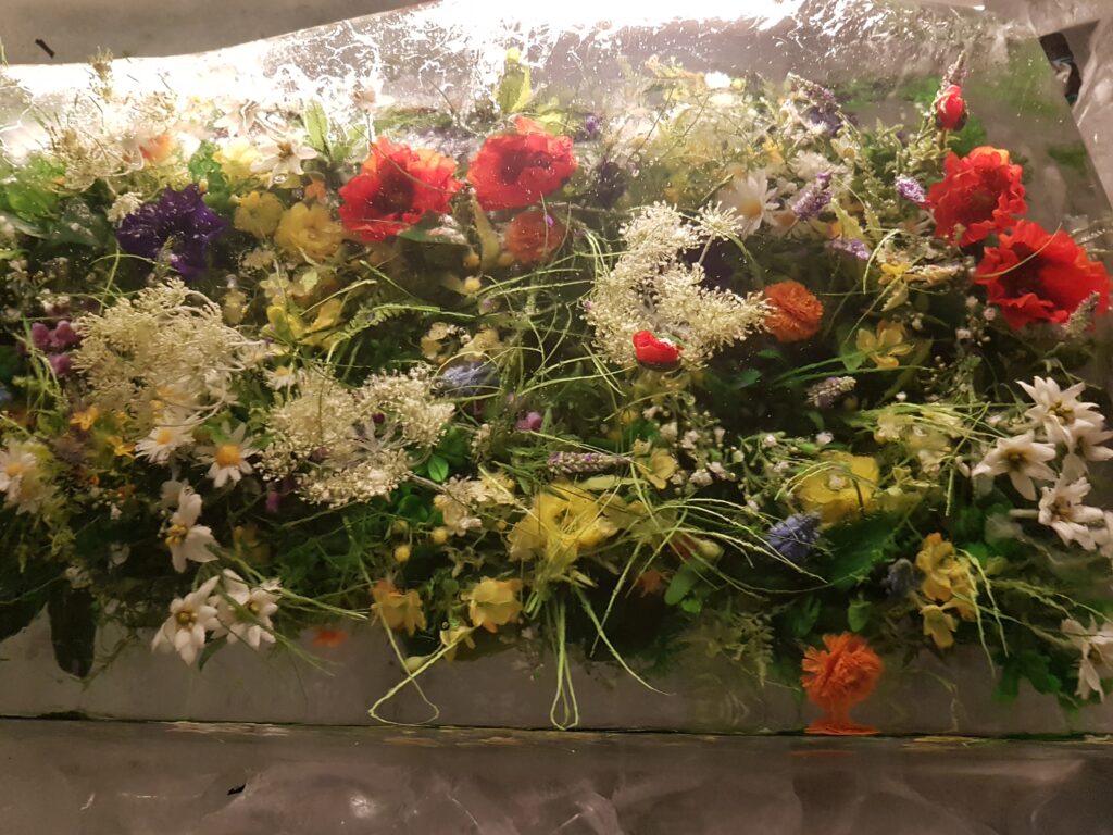 Blumenschmuck in Eis gelegt
