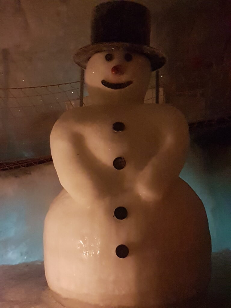 Dieser Schneemann schmilzt nicht.