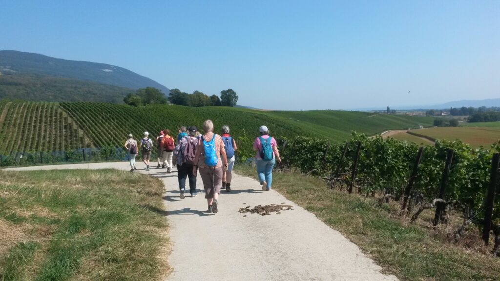 gegen Ende der Wanderstrecke