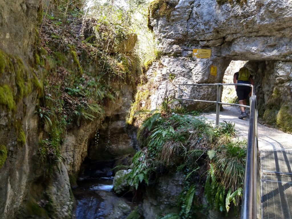 Wanderung auf dem schattigen Naturweg