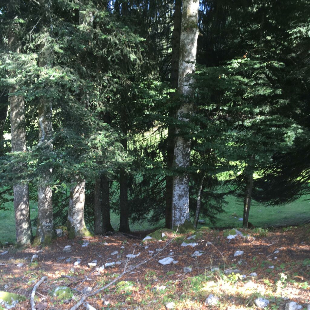 in der Region St. Croix