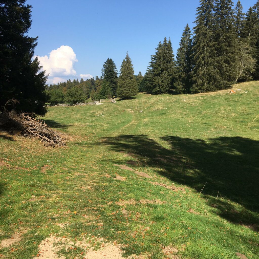 Aufstieg zum Chasseron