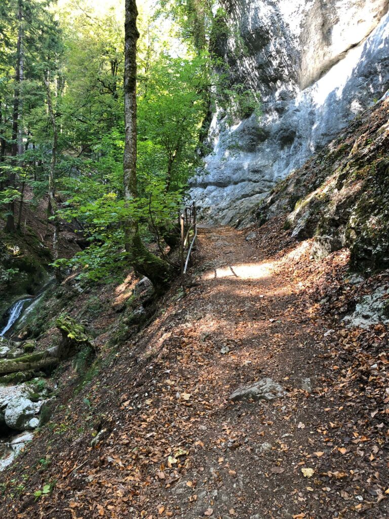 Waldweg