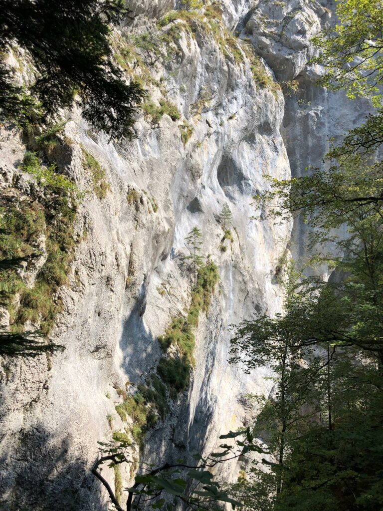 Juragestein