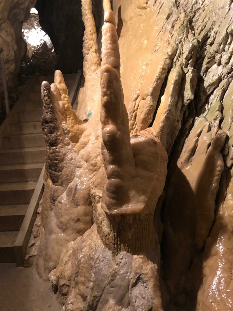 Fingergebilde aus Tropfstein