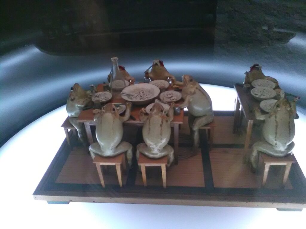Spaghetti-Plausch der Frösche im Froschmuseum