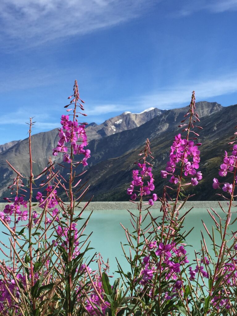 beim Stausee Mattmark mit Blick Richtung Weissmies