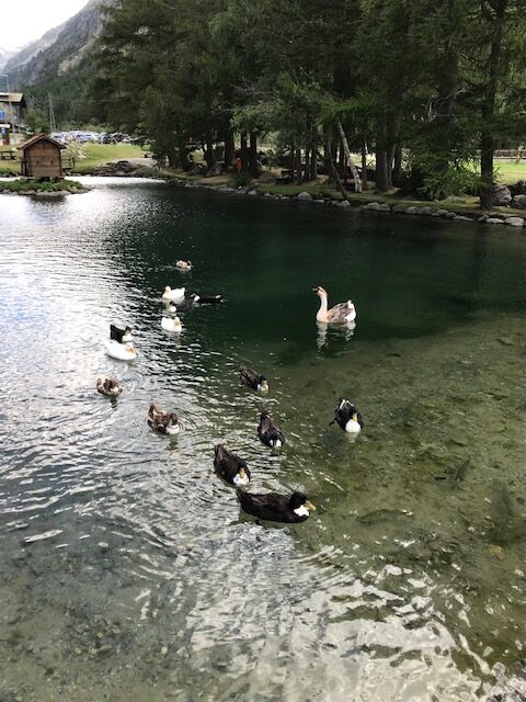 kleiner Dorfweiher in Saas-Almagell