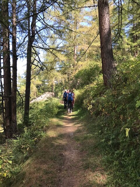 unterwegs im schattigen Wald Richtung Saas-Balen