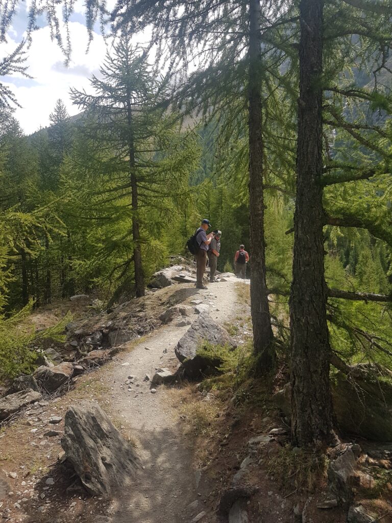 Rastplatz im Wald