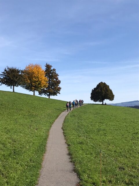 abwechslungsreiche Landschaft auf dem Alpenpanorama-Weg