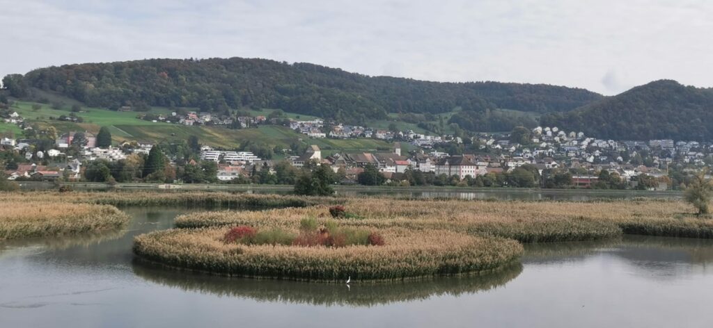 Inselleben im Klingnauer Stausee