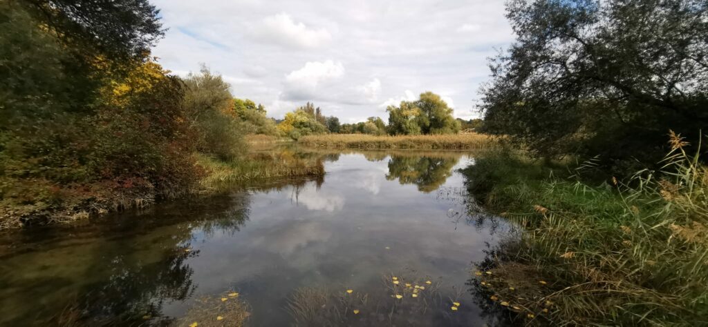 im Grün eingebetteter Stausee