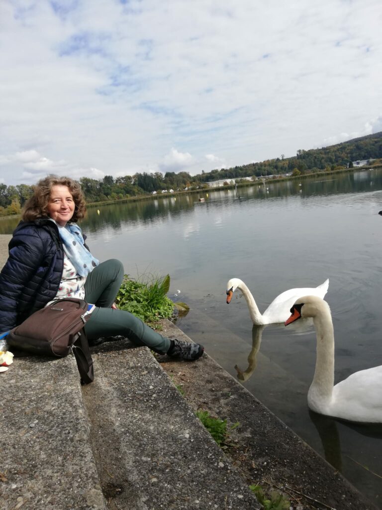 Zusammentreffen mit Schwänen am Stausee