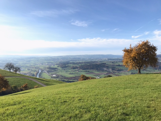 sanftes Licht in der Herbststimmung