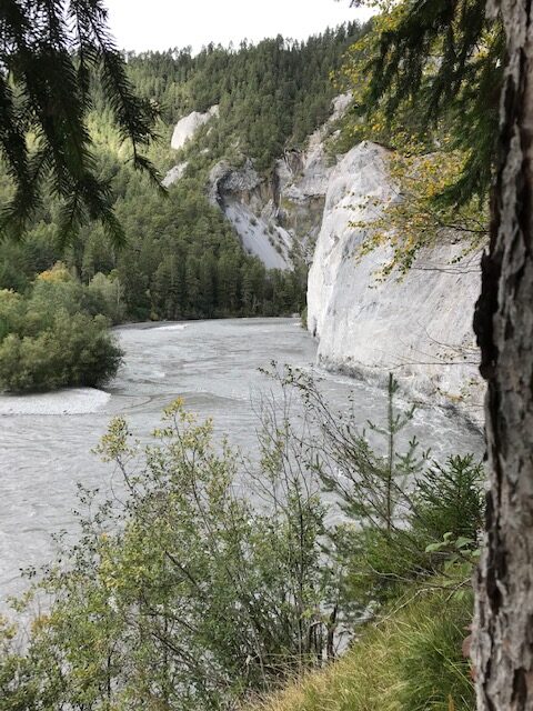 faszinierender Flusslauf in der Rheinschlucht