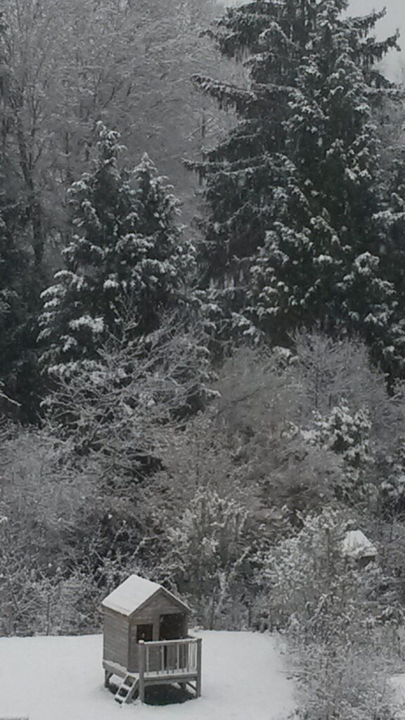 Wintergruss aus der Wohnsiedlung - 01.12.2020