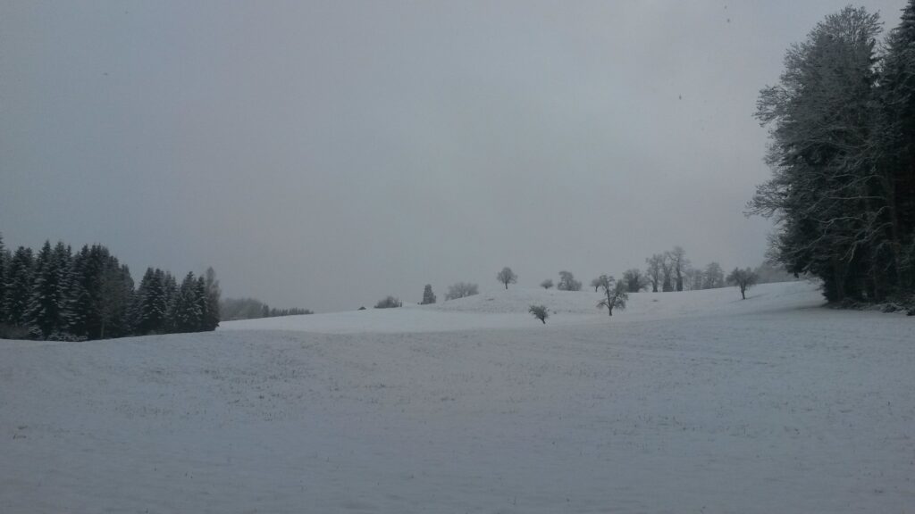 Blick über frisch verschneite Felder - 01.12.2020