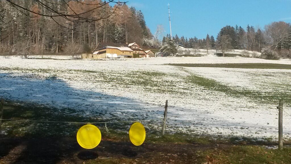 sonniger Wintertag - 03.12.2020