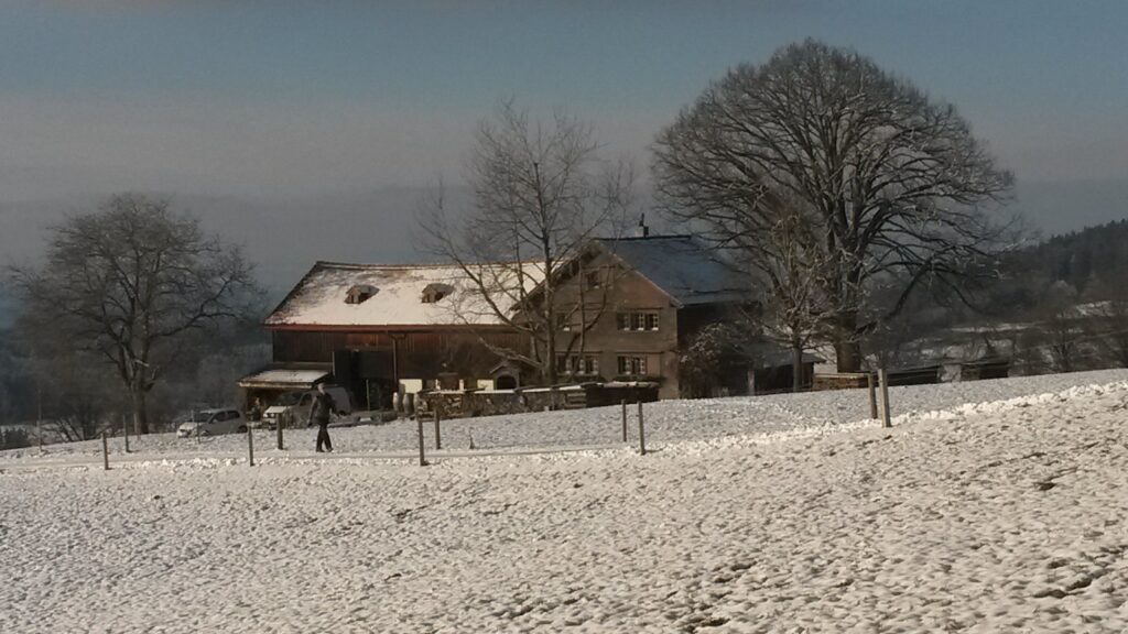 einsames Bauernhaus - 03.12.2020