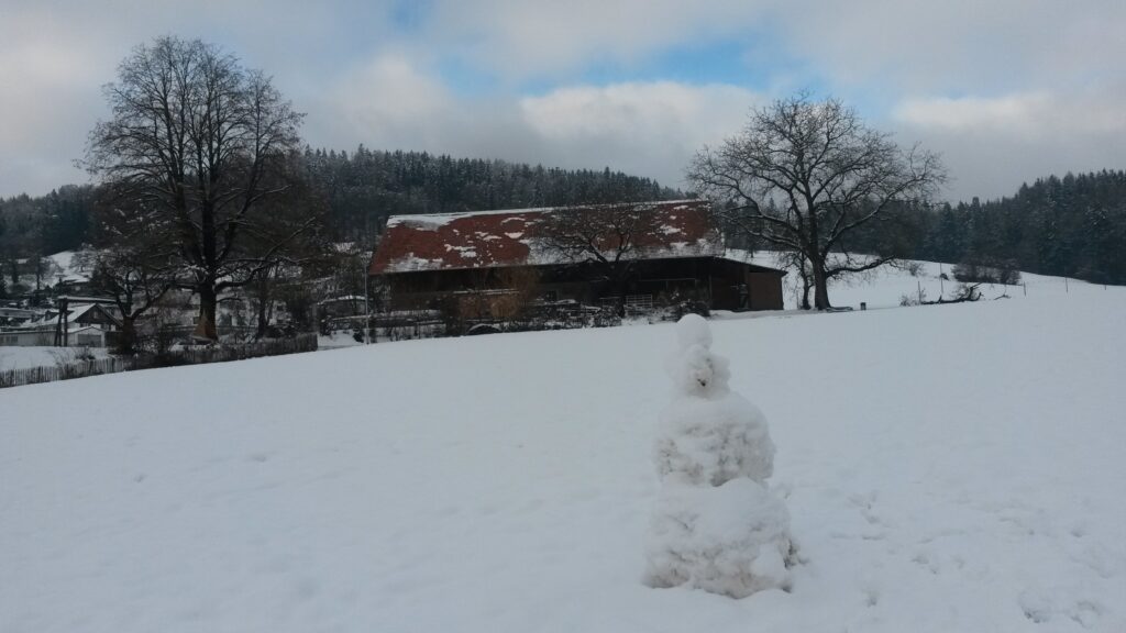 Ein Schneemann steht im Felde ganz still und starr. - 07.12.2020