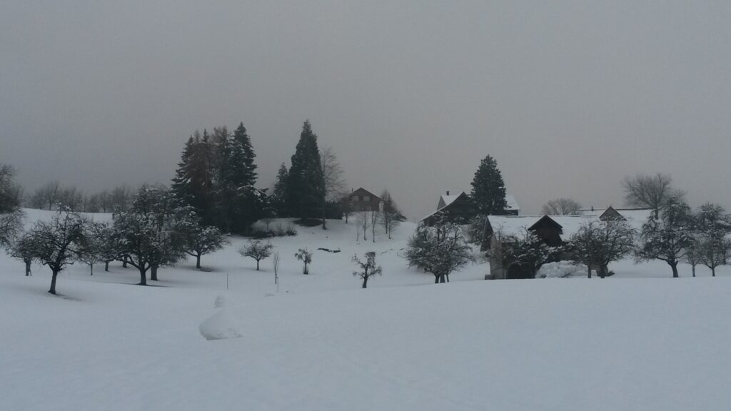 Boizenhof im Winterkleid - 07.12.2020
