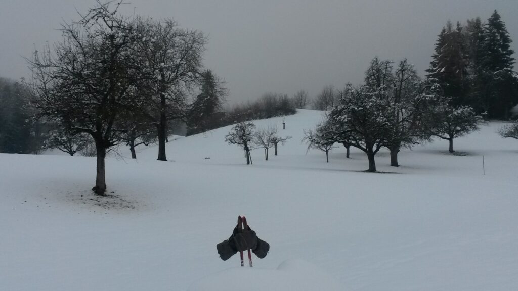beim Nordic-Walking oder Schneestapfen - 07.12.2020