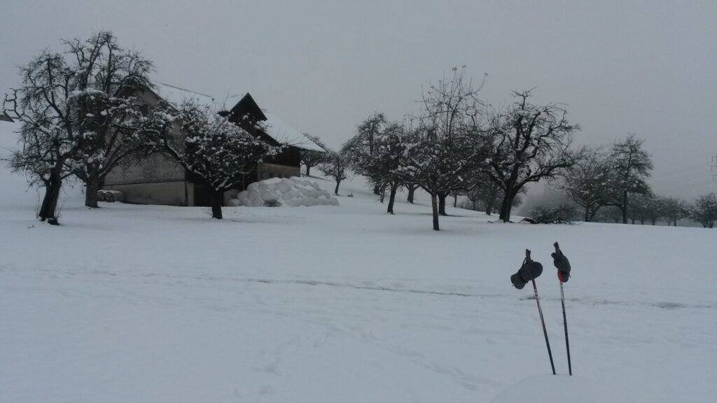 Nordic-Walkingpause - 07.12.2020