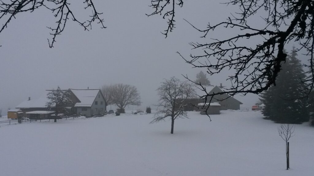 unter dem dicksten Nebel - 07.12.2020