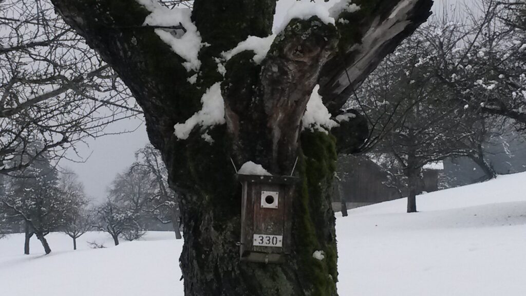 im Vogelsang 330 - 07.12.2020