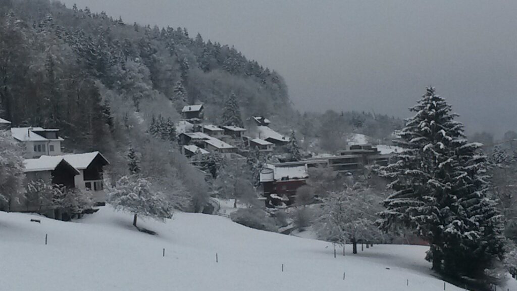 winterliche Dorfidylle - 10.12.2020