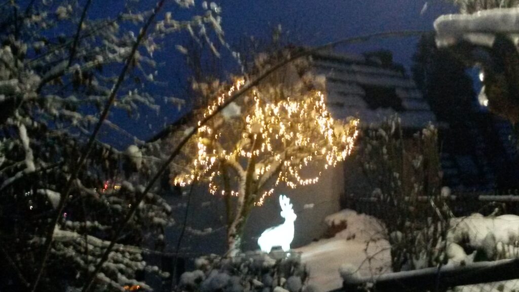  Adventsstimmung - 11.12.2020