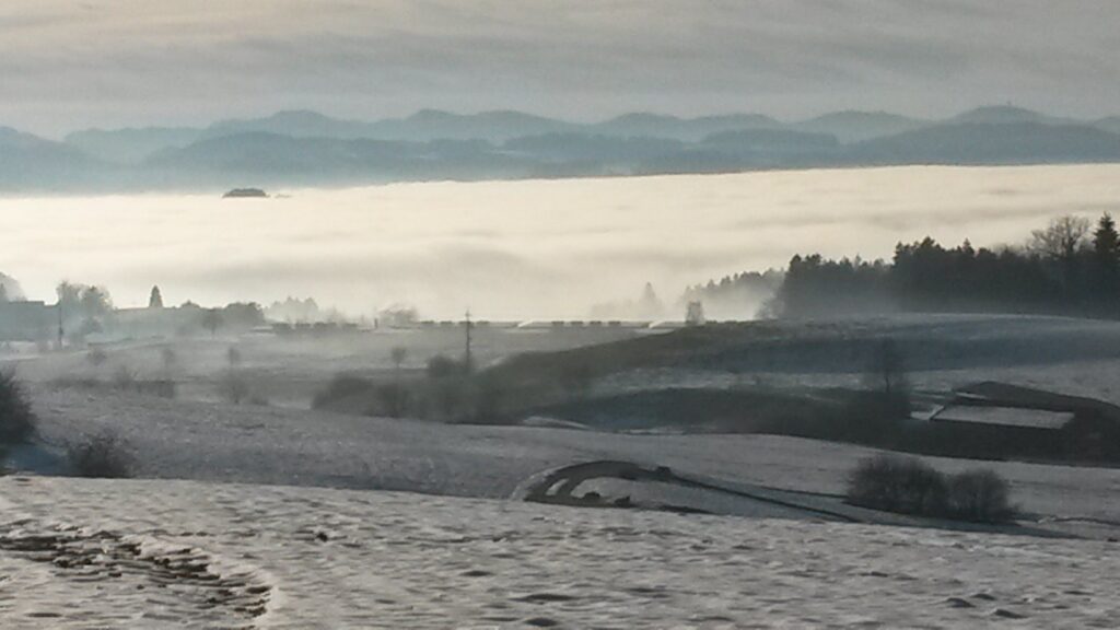 mystische Winterstimmung - 16.12.2020