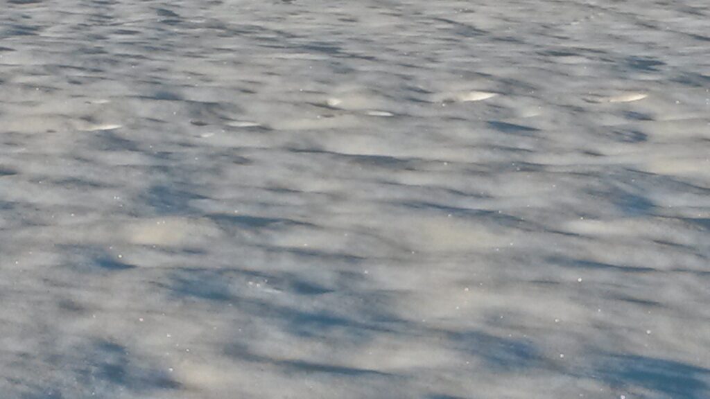 Schneeglitzer - 16.12.2020