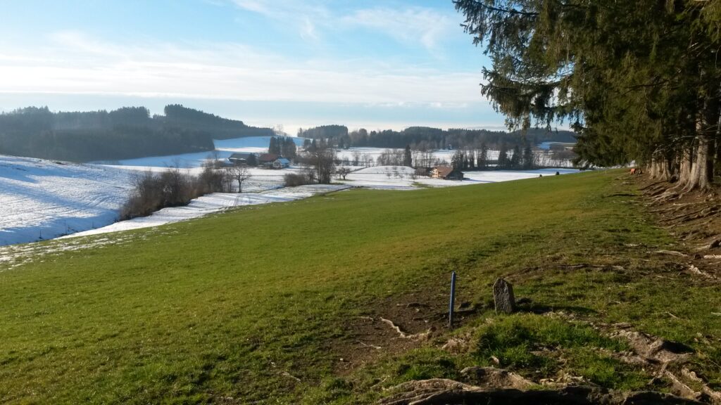 grün-weisses Land - 19.12.2020
