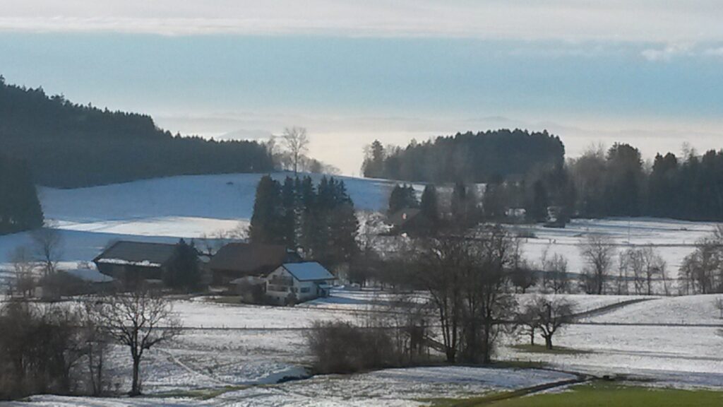 im bläulichen Licht - 19.12.2020