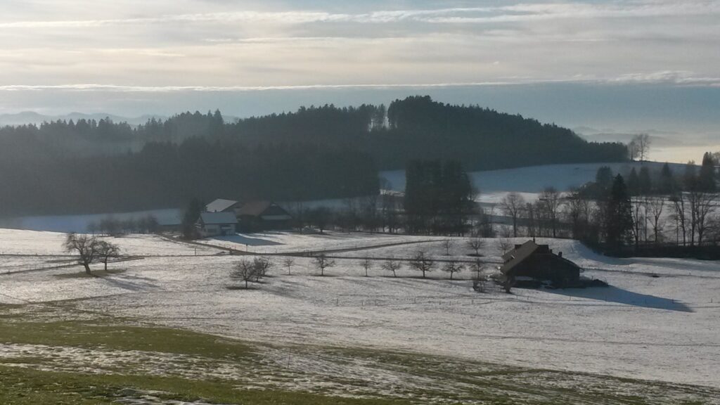 langsam schmelzendes Schneefeld auf dem Hohfirst - 19.12.2020