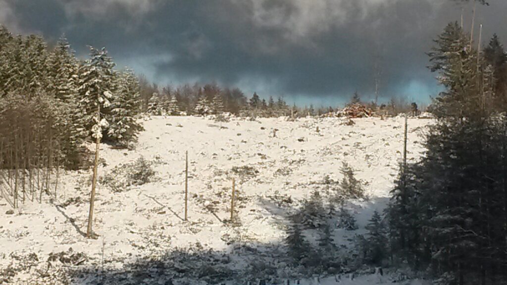 Schatten-Sonne-Wolken - 26.12.2020