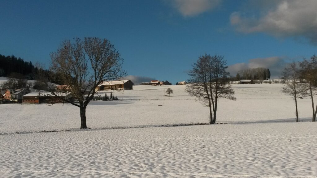 im sonnigen Schneefeld - 26.12.2020