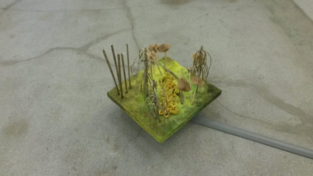Kunst im Auge des Betrachters