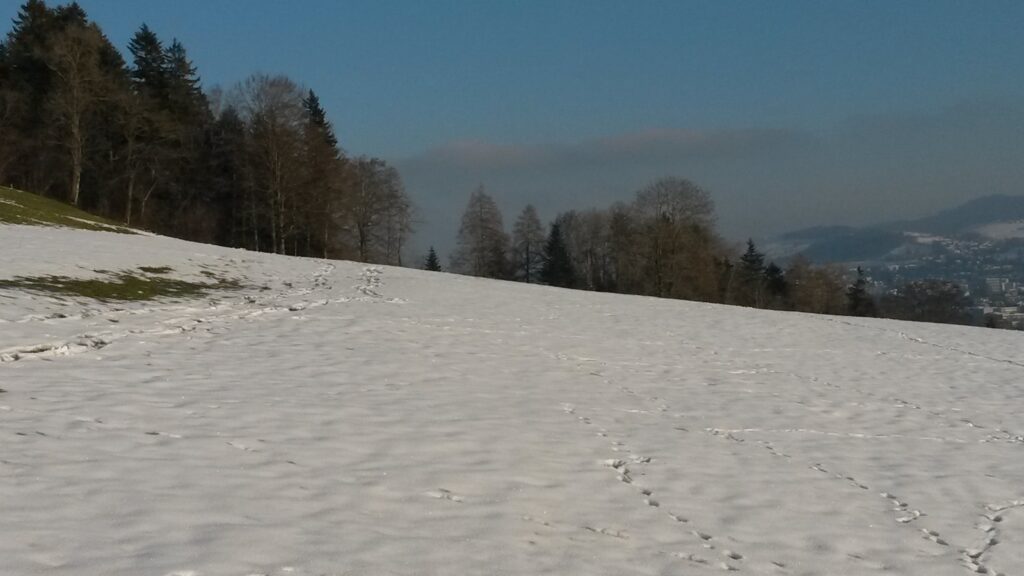 Weitsicht - 11.01.2021