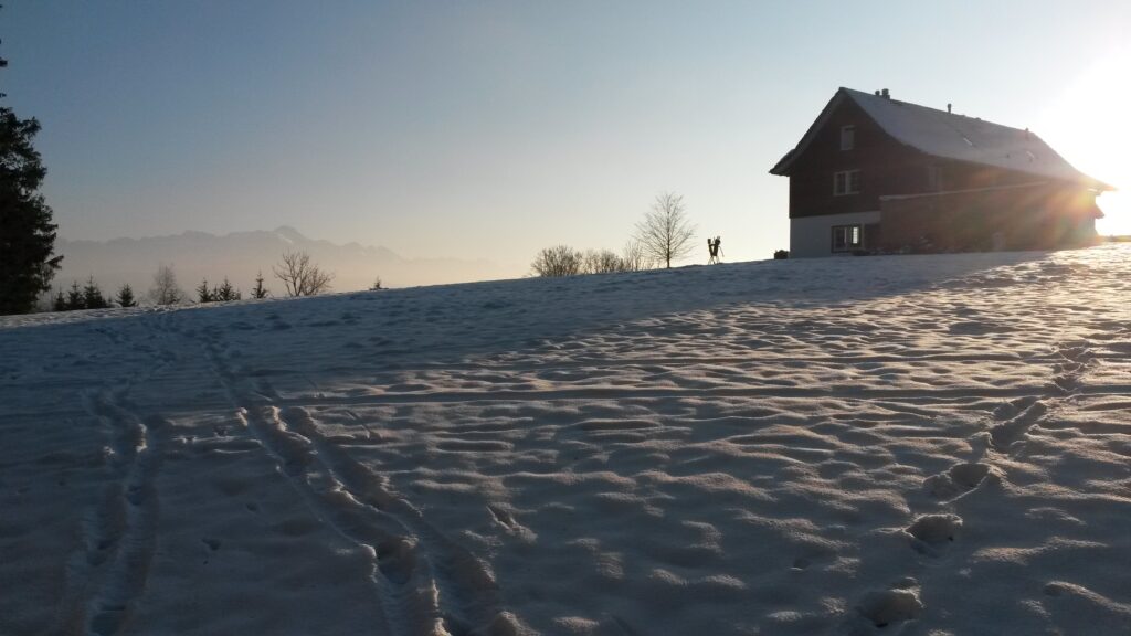 einsames Haus - 11.01.2021