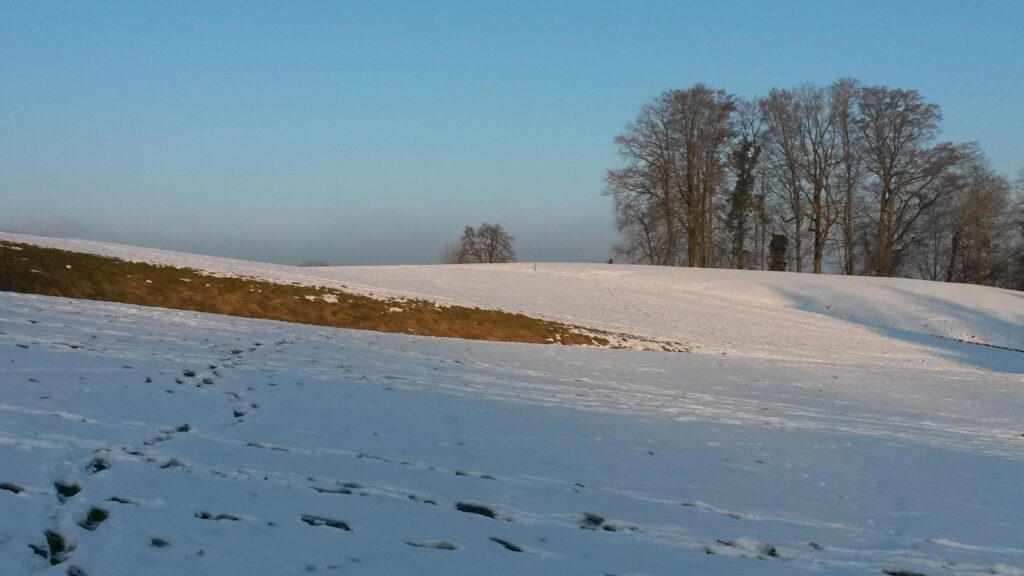 letzte Sonnenstrahlen - 11.01.2021