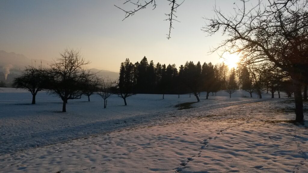 rötliches Abendlicht - 11.01.2021