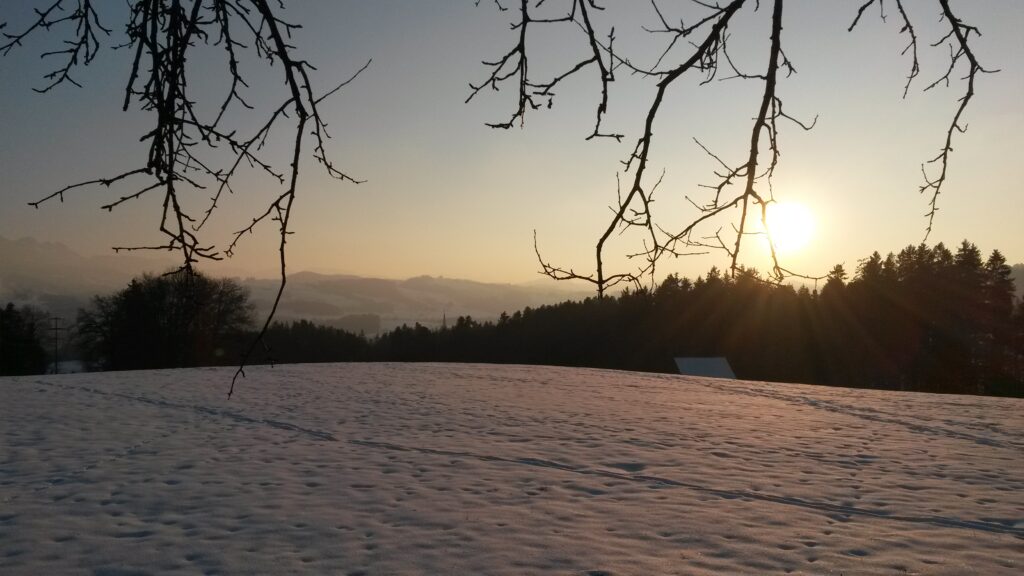 gute Nacht Sonnenschein - 11.01.2021